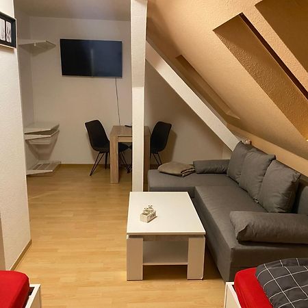 Fewo Wieko Plauen Leibnizstr. H3, Dg Rechts Екстериор снимка